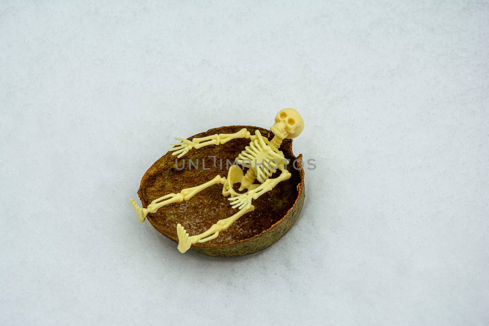 the skeleton rides on the hemisphere as on a sled in the snow. Skeleton chili and having fun creative composition