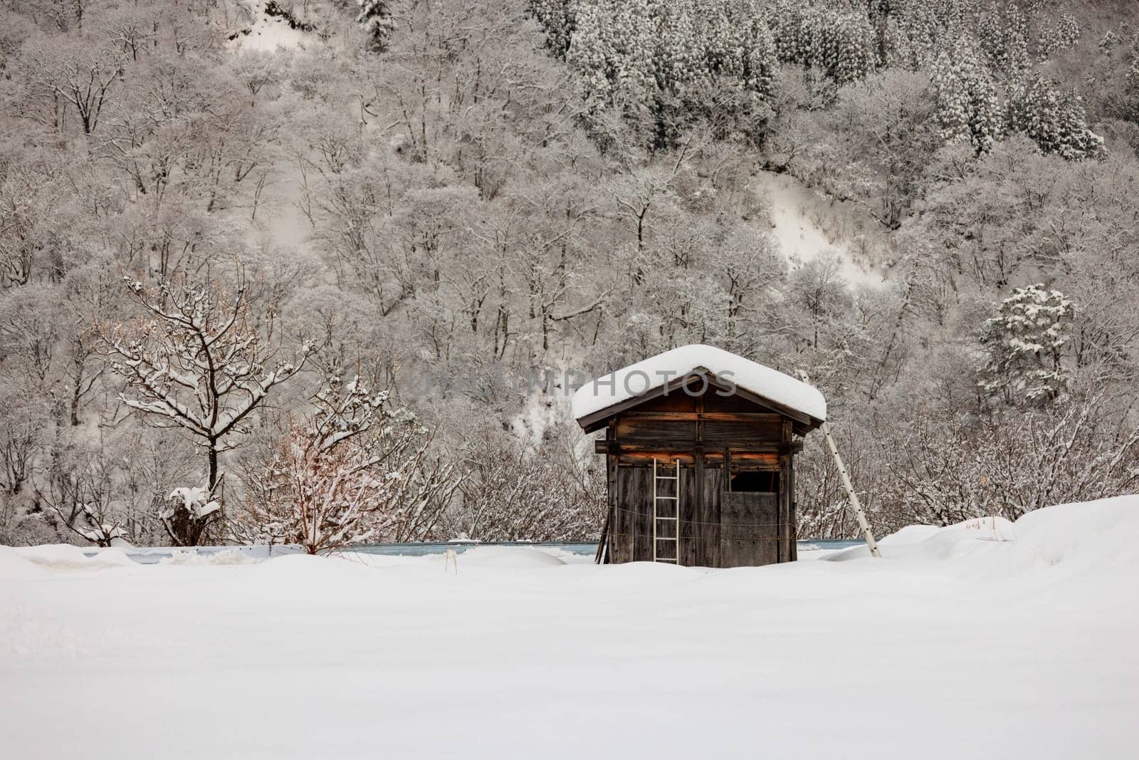 Snow covered rustic wooden tool shed in white winter landscape by Osaze