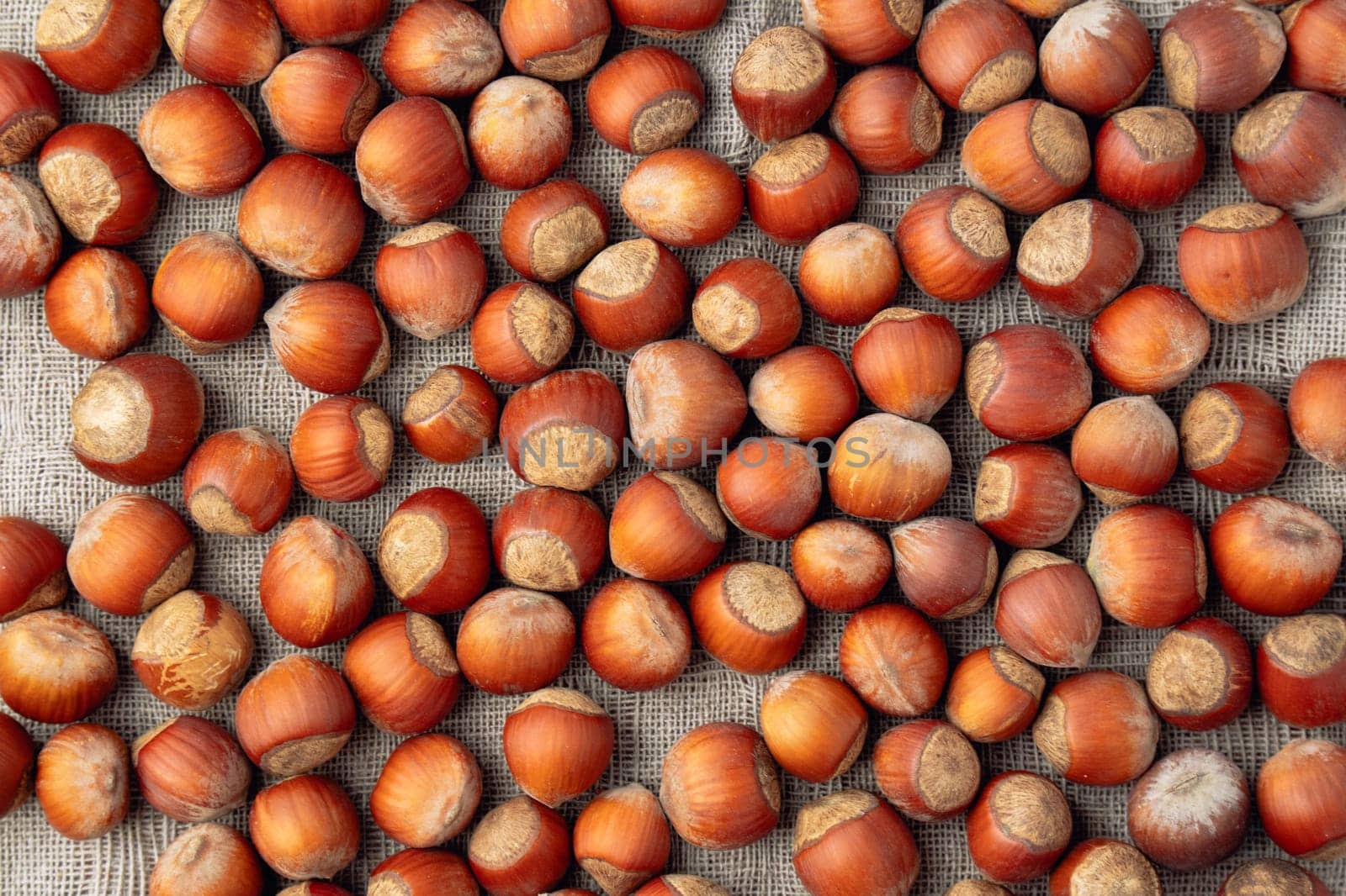 Hazelnut nuts on a linen napkin. Bulk Hazelnut kernel.