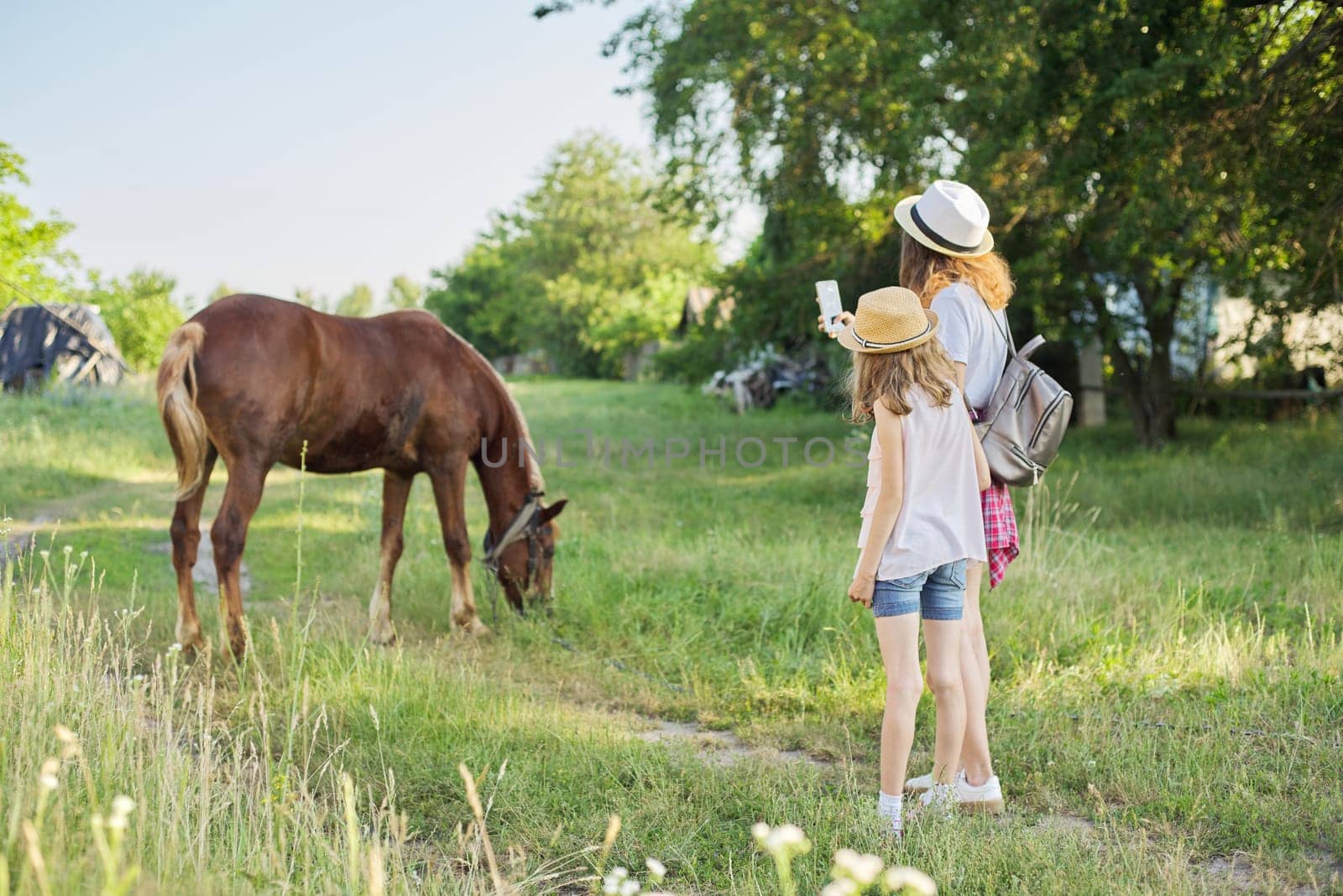 Children two girls photographing farm horse on smartphone. Rustic country style, summer nature background