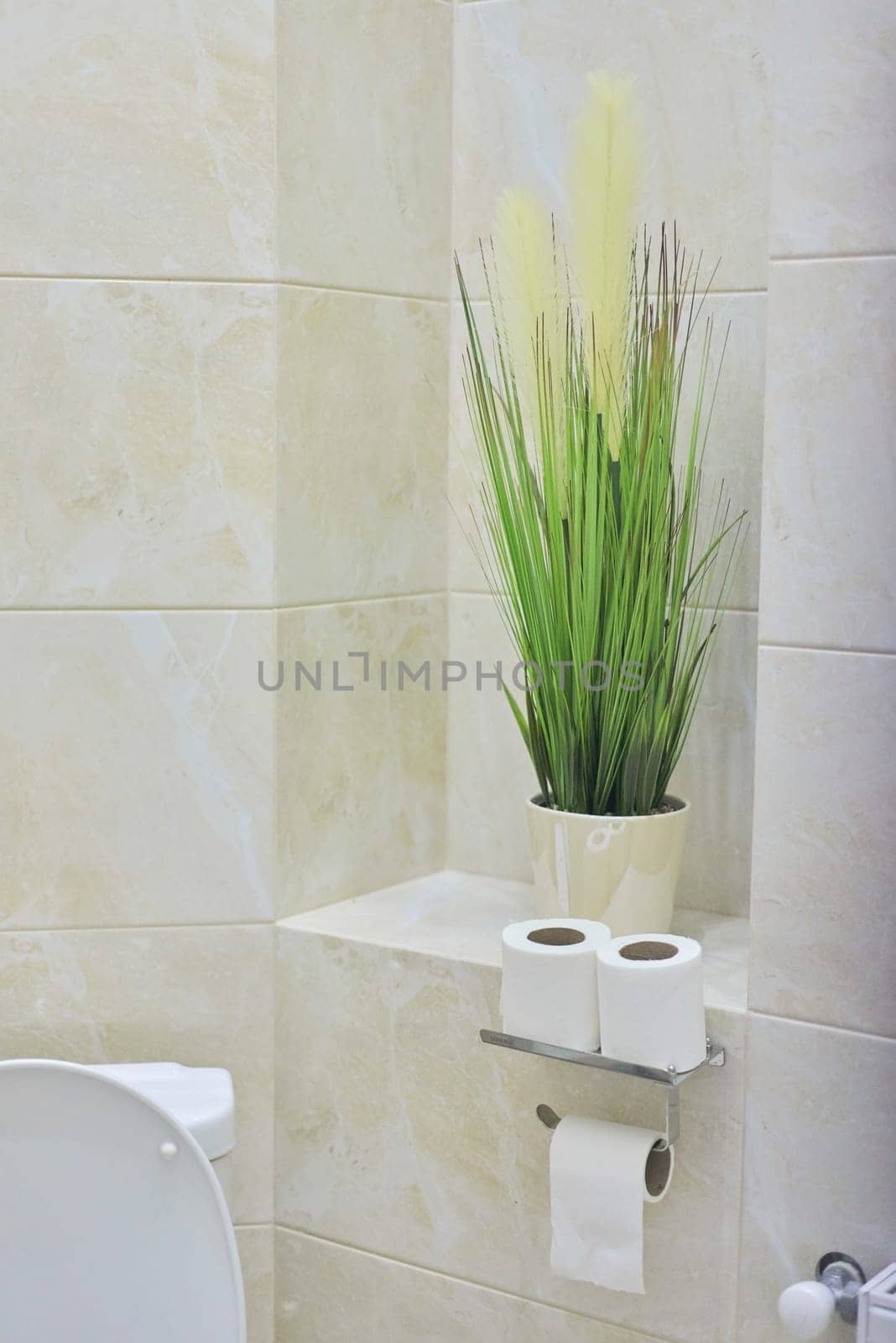 Toilet interior, decorative potted plant, toilet paper rolls by VH-studio