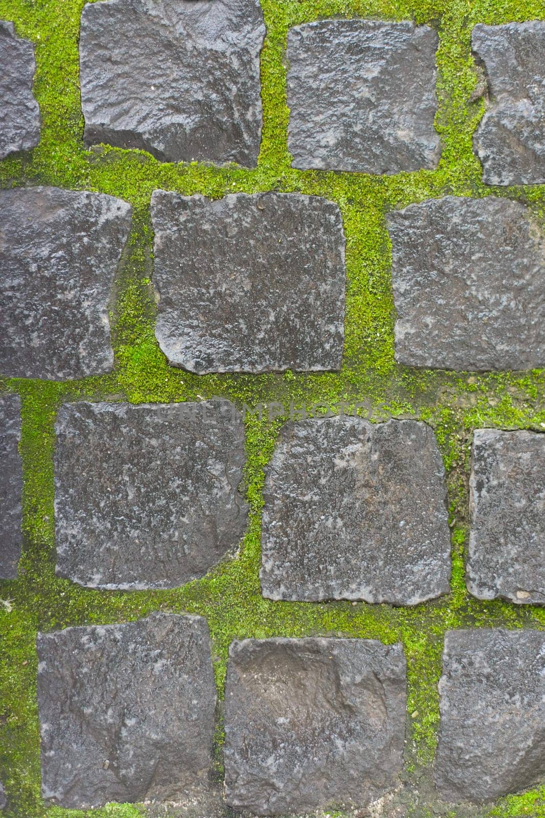 Background, texture, stone vintage square stones with light green mossy seams. Combination of gray and light green colors