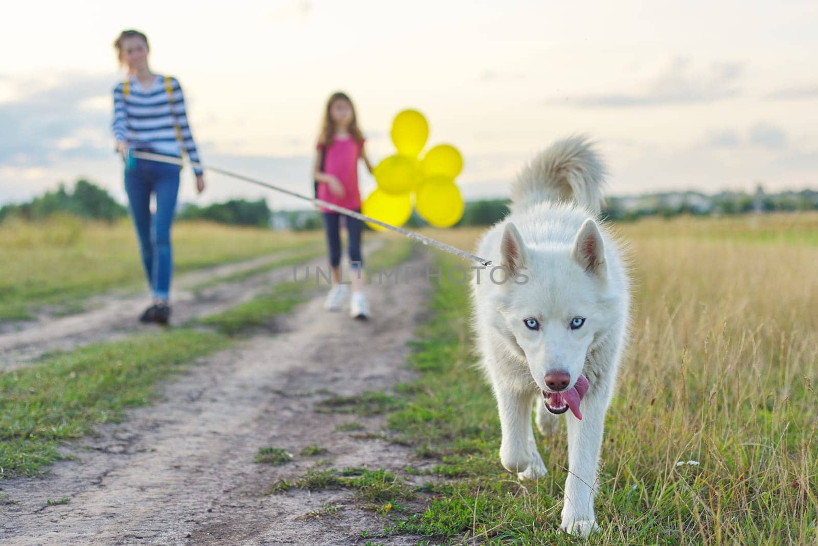 Children walking with dog in nature, girls with pet on country road on sunny summer day, child with yellow balloons