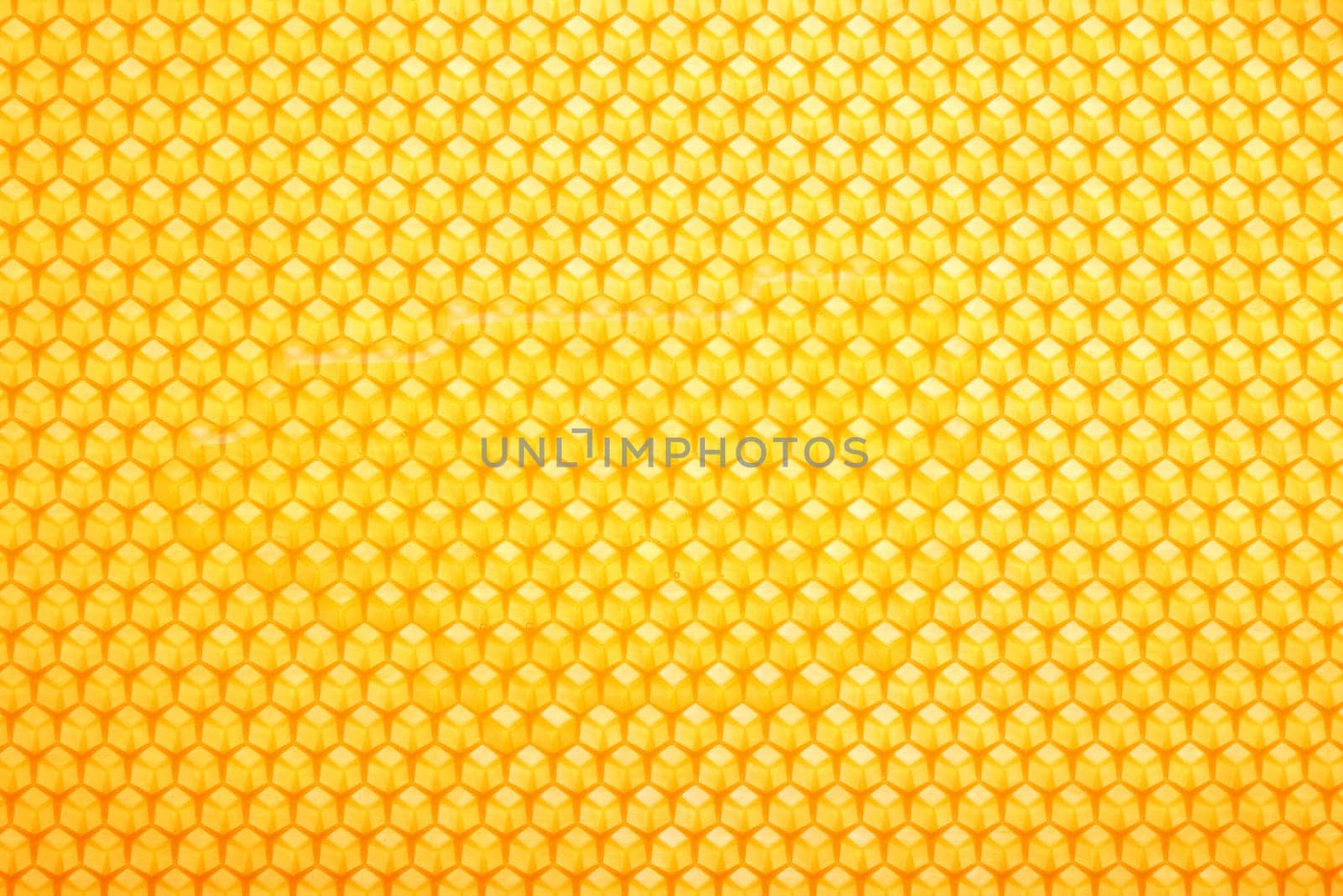 Close up fresh golden comb honey background texture, full frame honeycomb pattern