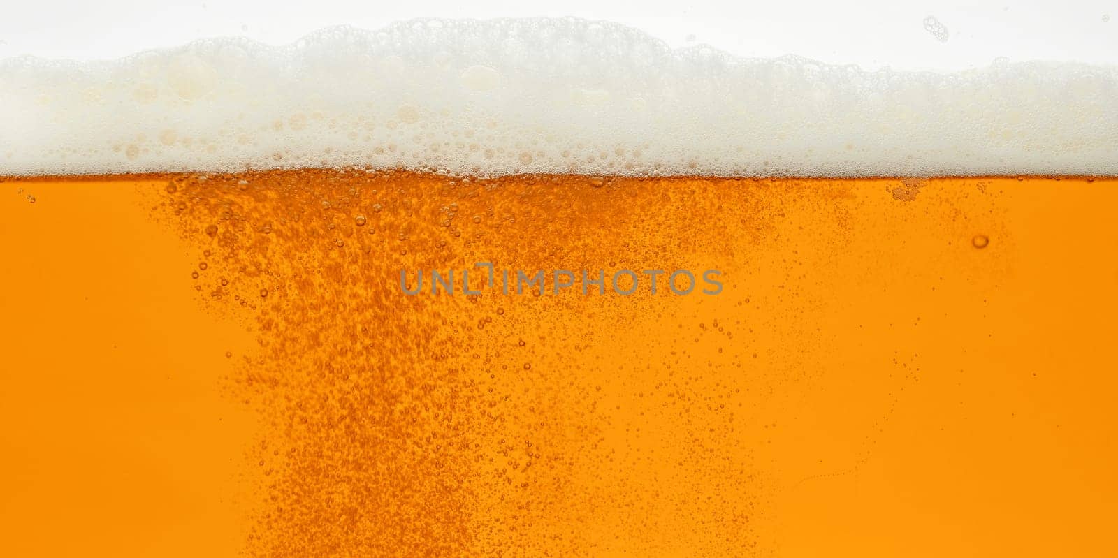 Close up background texture of lager beer with bubbles and froth, pouring in glass, low angle, side view