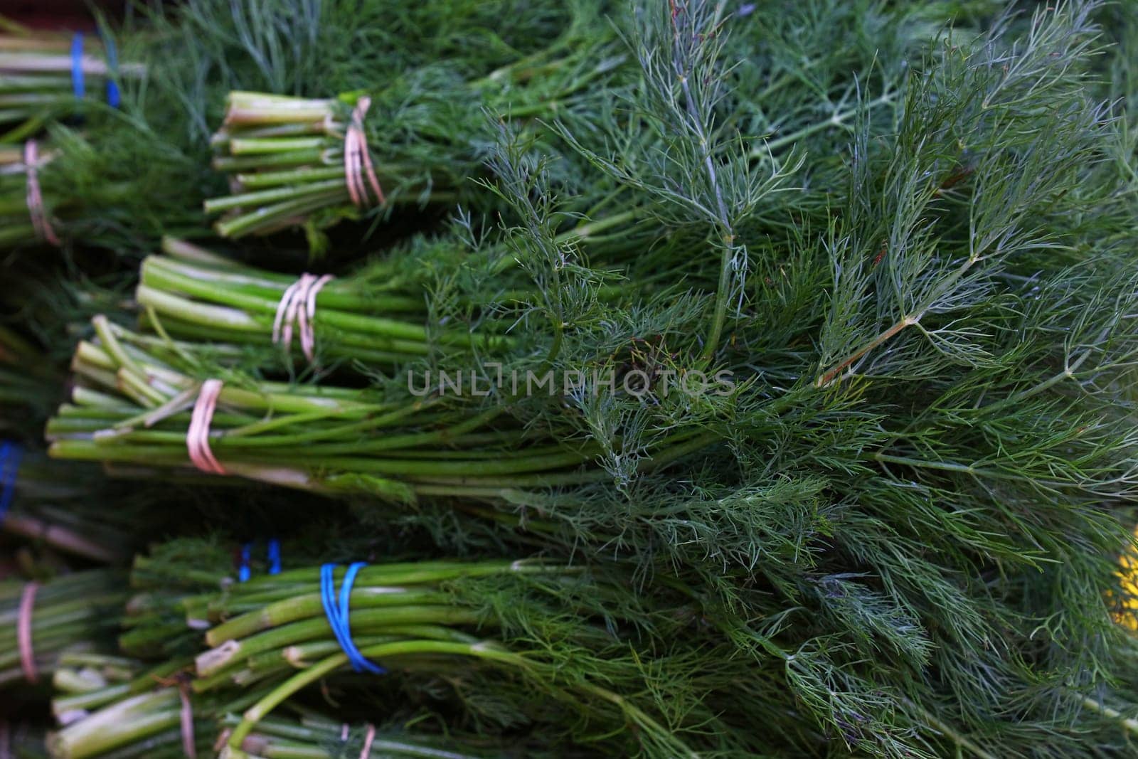 Heap of fresh green dill bunches on farmers market display, close up, high angle view