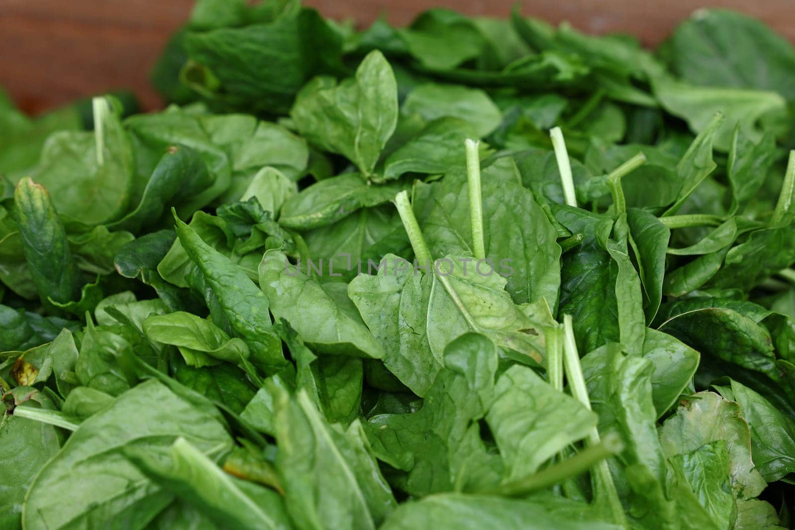 Heap of fresh green spring spinach on farmers market display, close up, high angle view