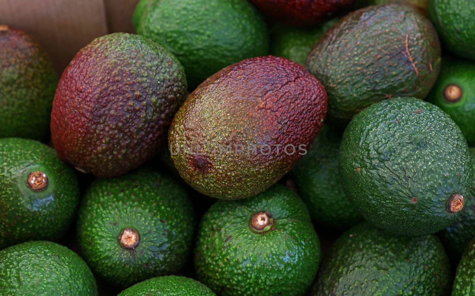 Fresh green and purple avocado on retail display by BreakingTheWalls