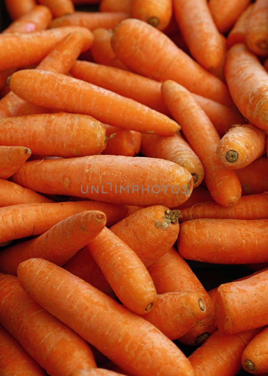 Close up heap of many fresh washed new farm carrot at retail display of farmer market, high angle view