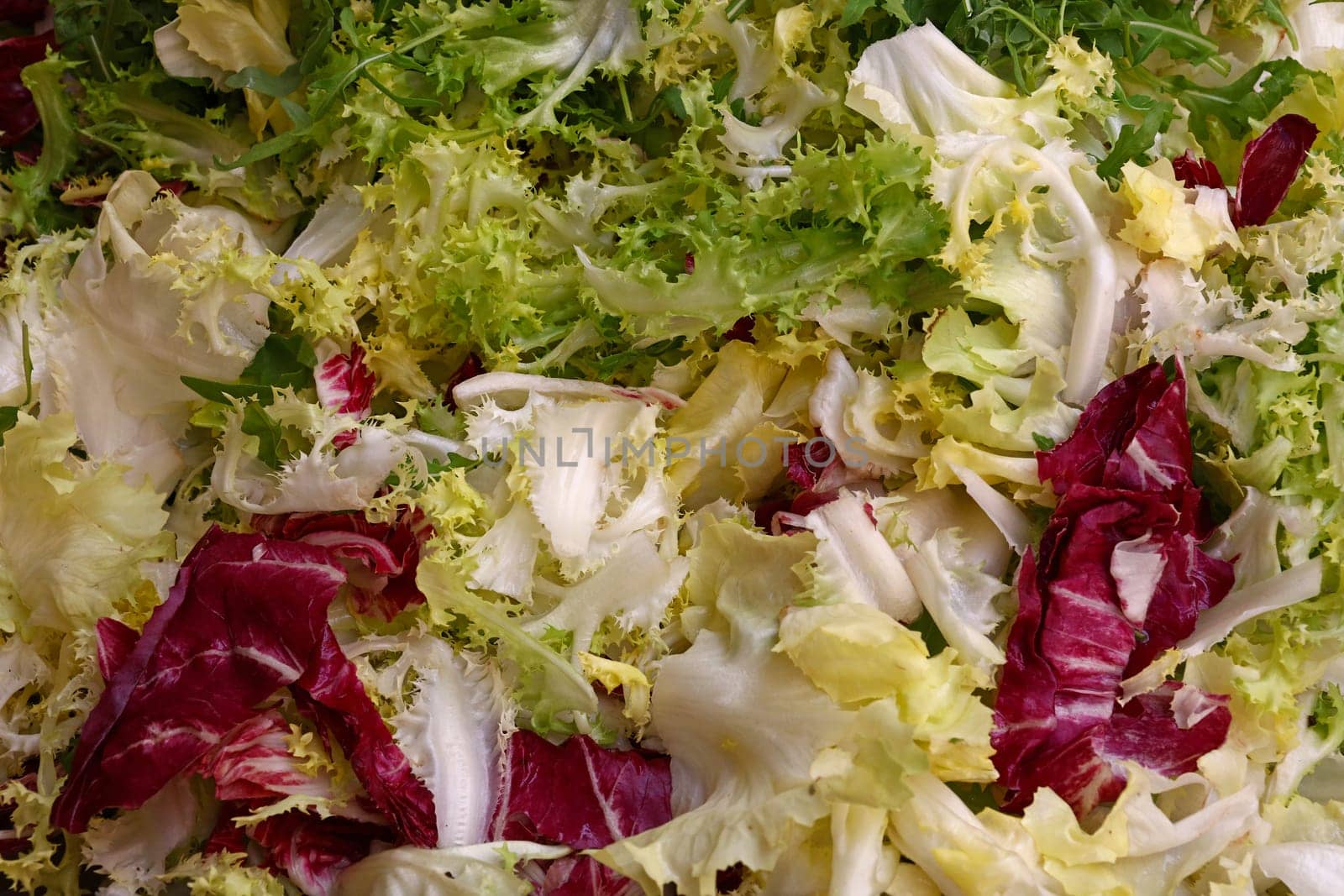 Heap of fresh mixed lettuce salad by BreakingTheWalls