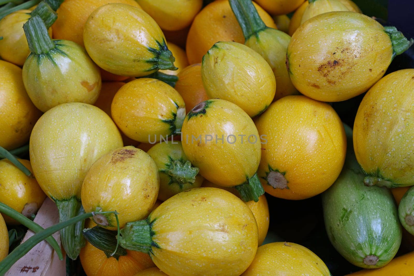 Close up fresh new yellow baby round zucchini on retail display of farmers market, high angle view