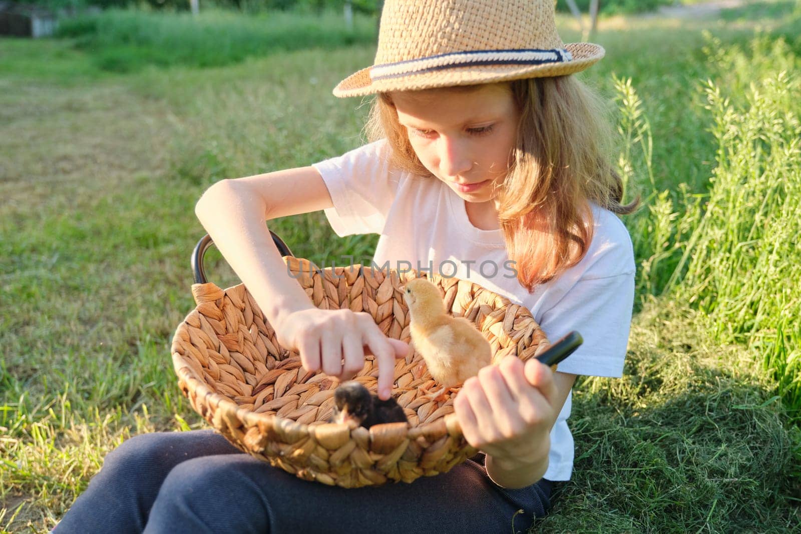 Portrait of child girl holding newborn chicks in basket, spring sunny day in garden, farm, village