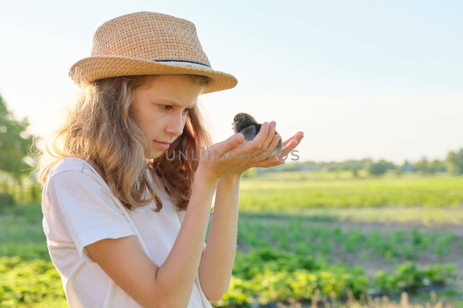 Portrait of child girl holding newborn chicks in hands by VH-studio