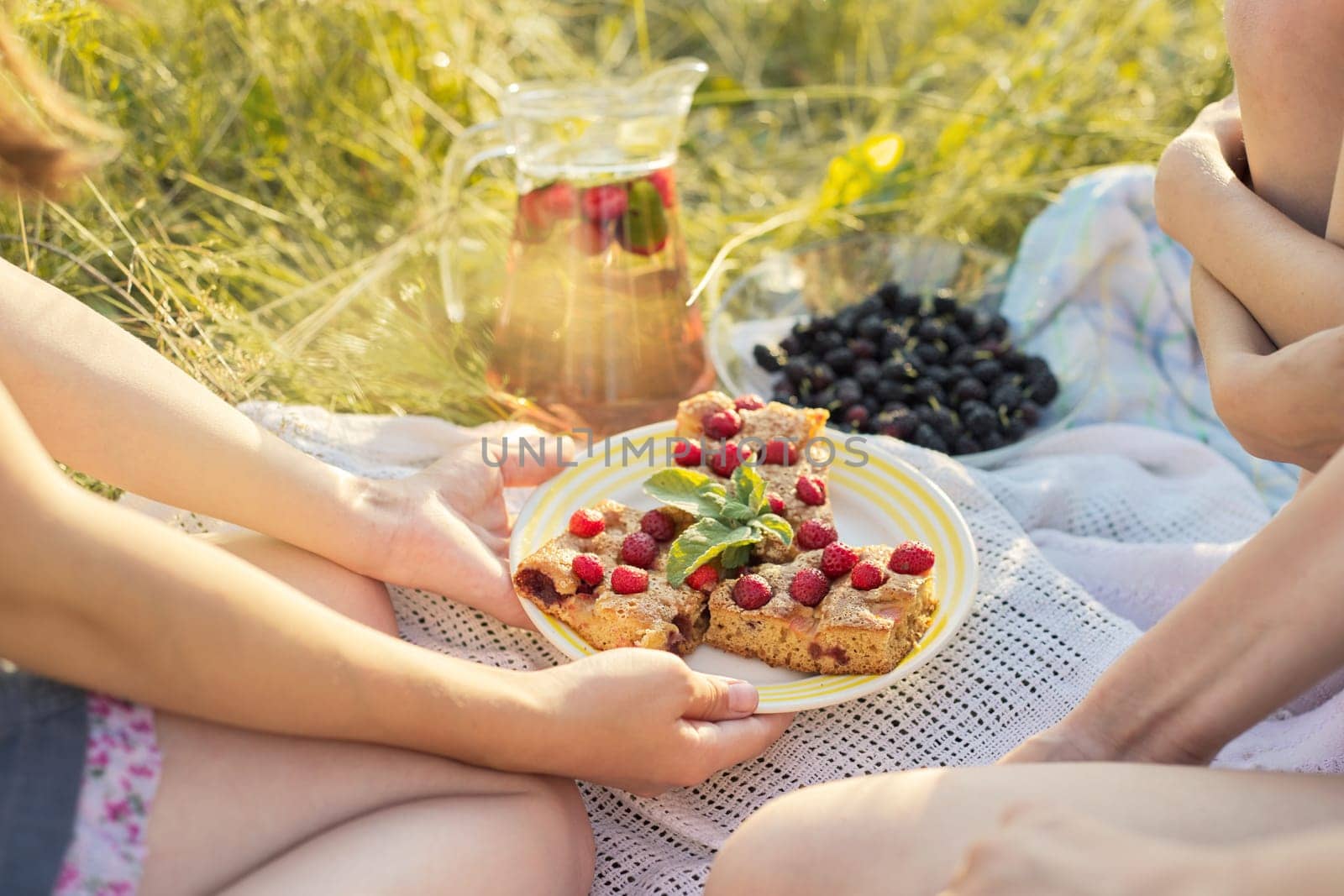 Summer picnic on sunny meadow, children sitting on grass eating homemade cake with berries, drinking mint strawberry drink