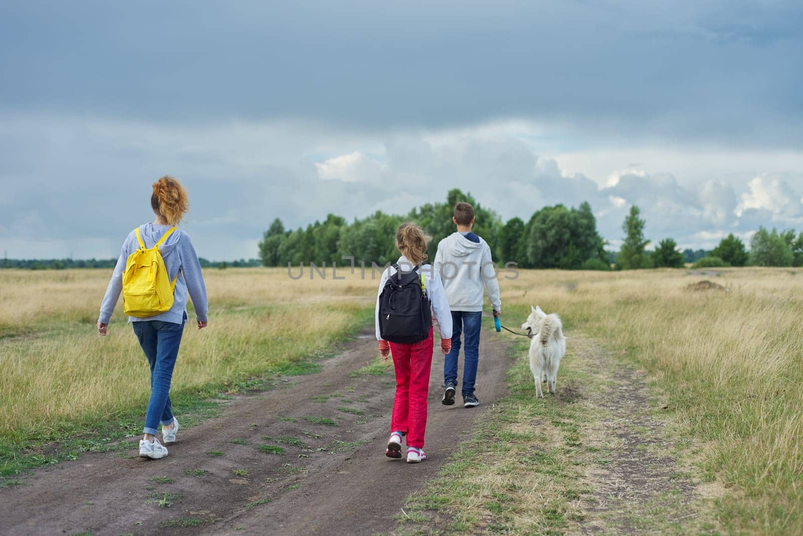 Three children with dog walking along country road, autumn nature, view from the back