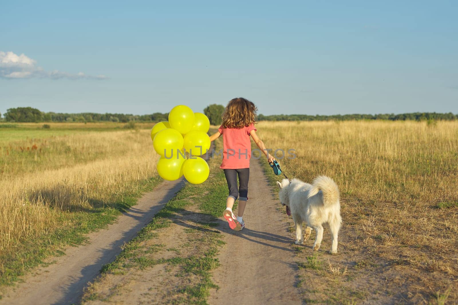 Dynamic outdoor portrait of running girl with white dog and yellow balloons on country road, beautiful landscape with blue sky and yellow grass in meadow