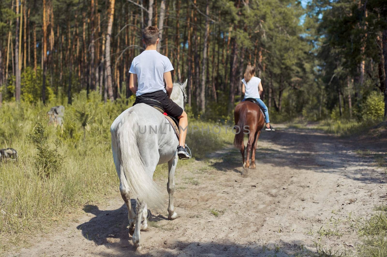 Group of teenagers on horseback riding in summer park, back view
