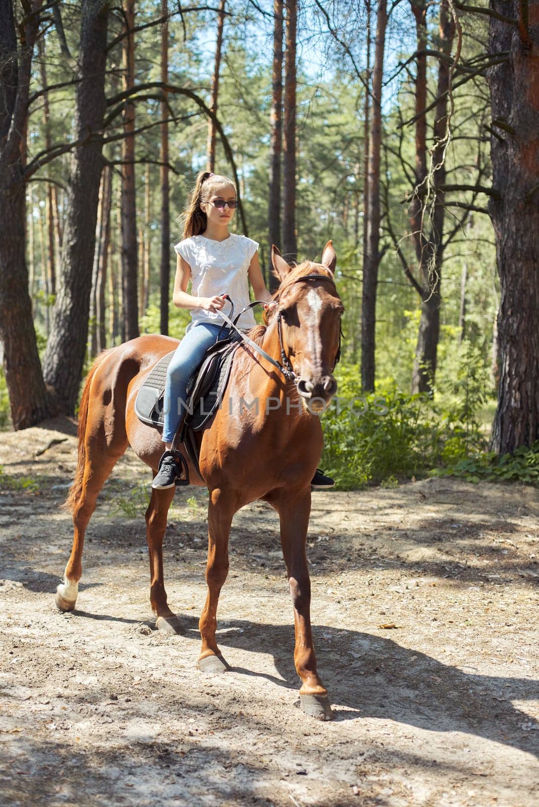 Teenager girl riding a brown horse, horseback riding for people in the park by VH-studio