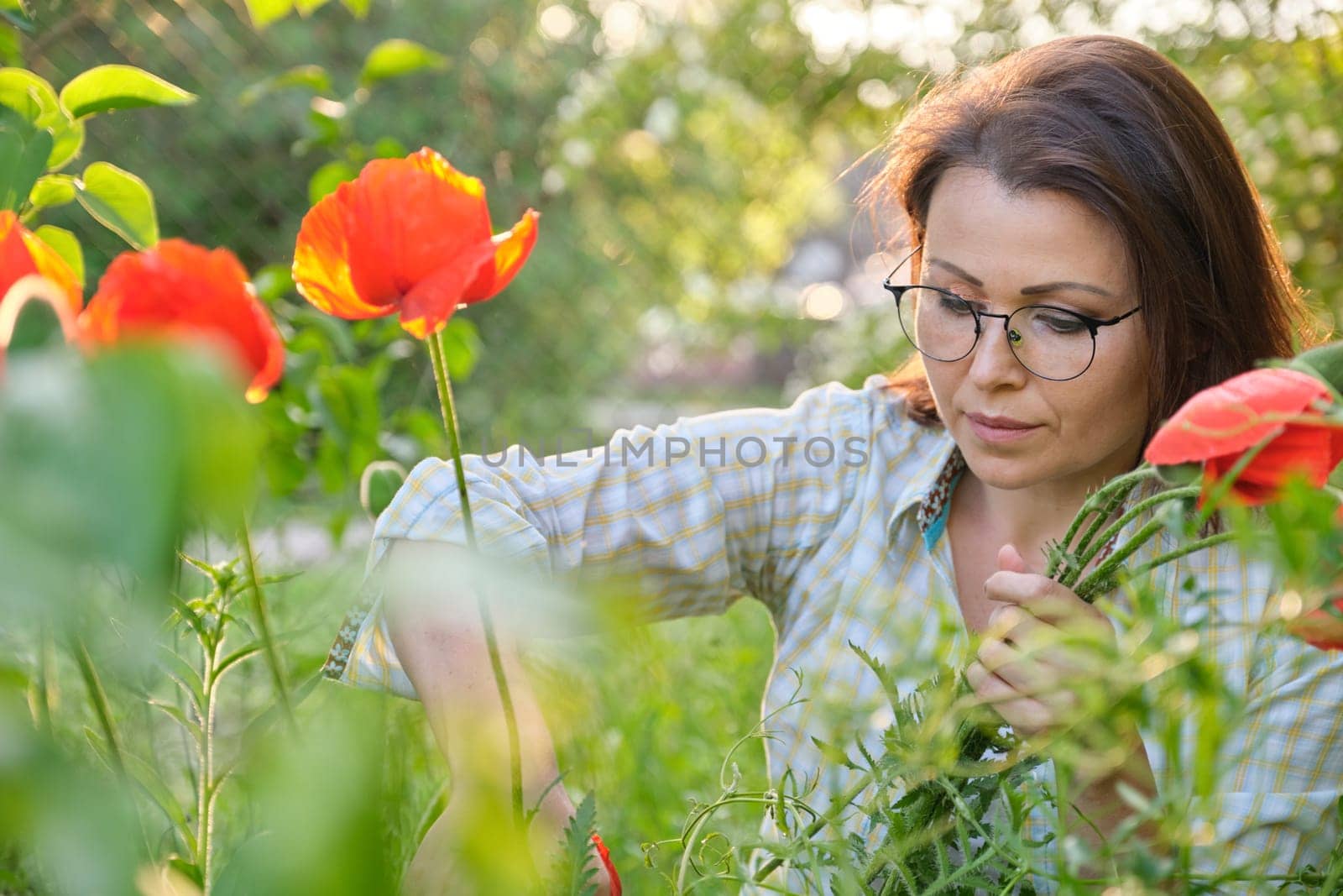 Mature woman in spring garden cutting bouquet of red poppies by VH-studio