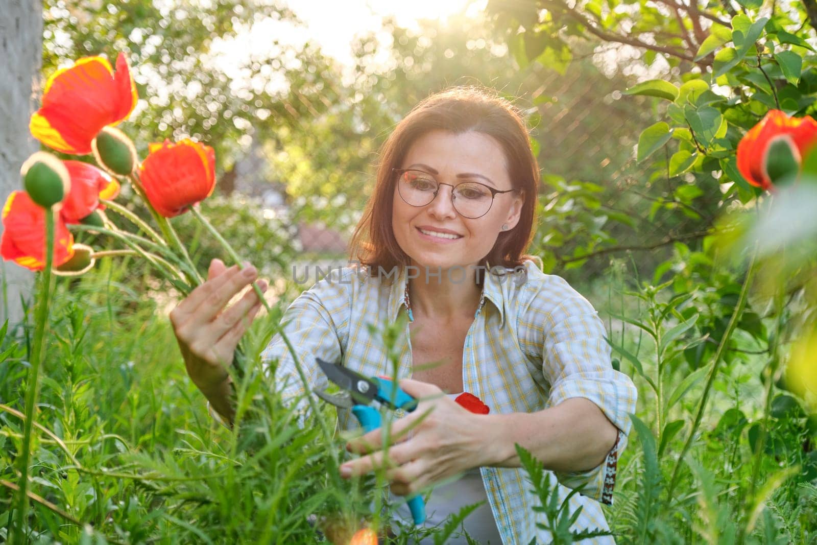 Mature woman in spring garden cutting bouquet of red poppies by VH-studio