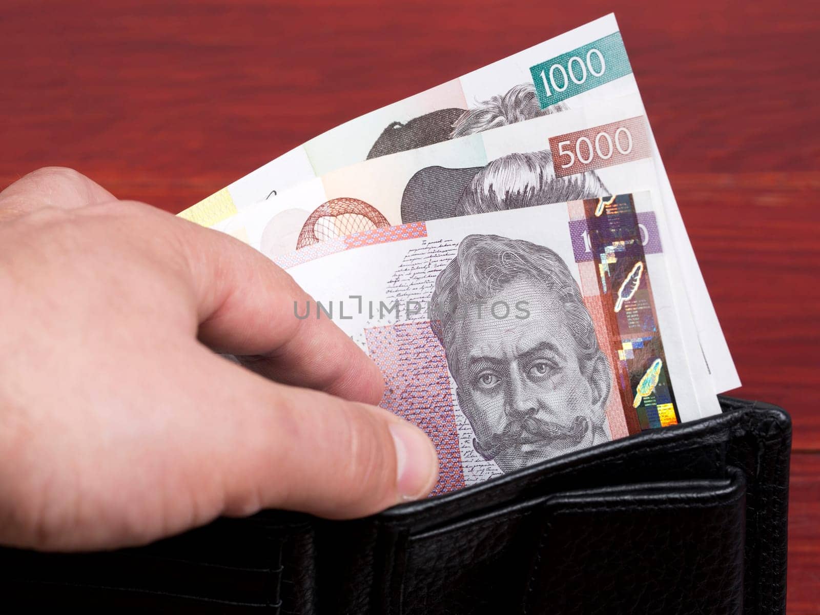 Slovenian money - tolar in the black wallet by johan10