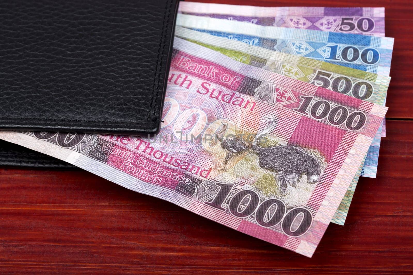 South Sudanese money in the black wallet