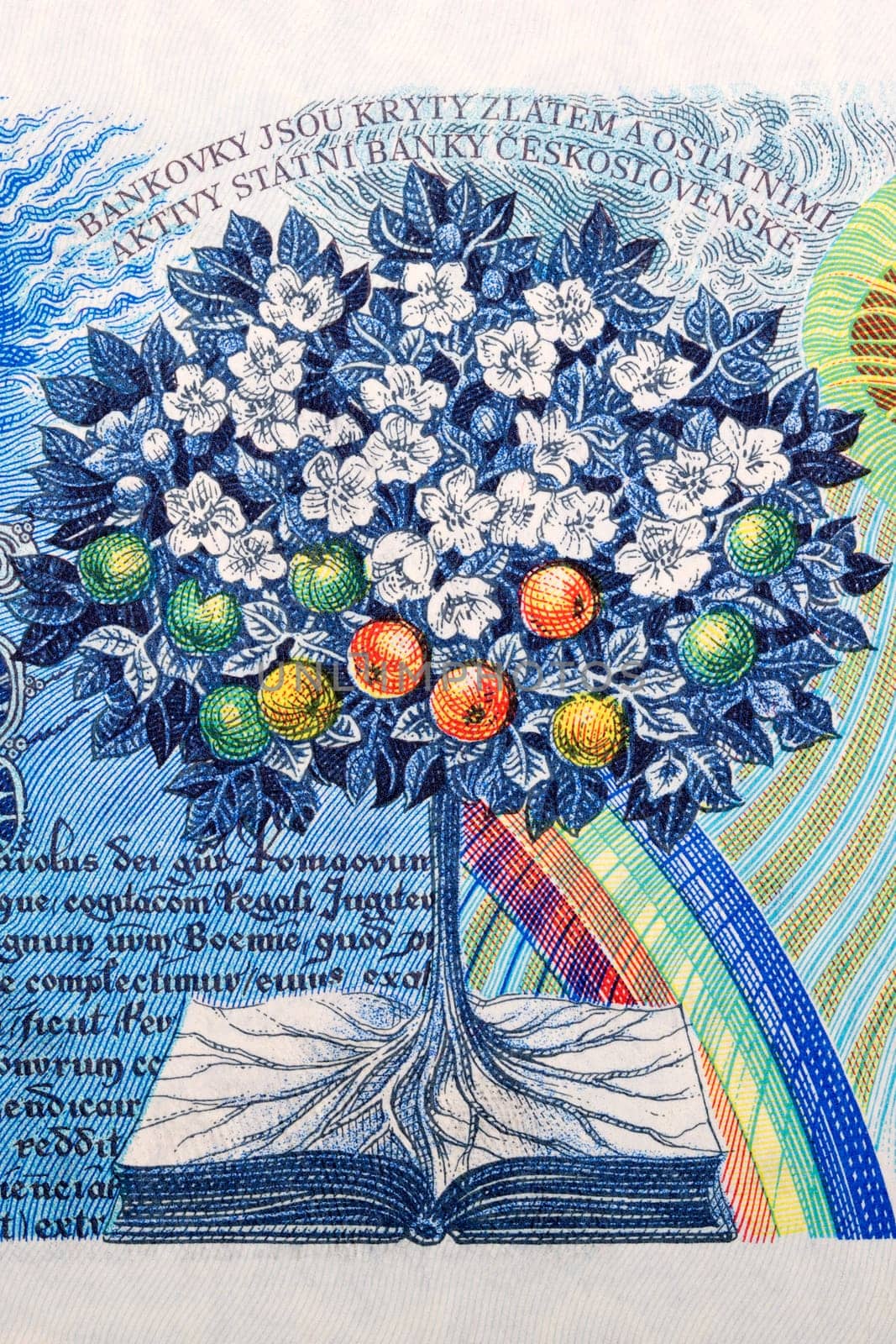 Tree of life growing from book from Czechoslovak money