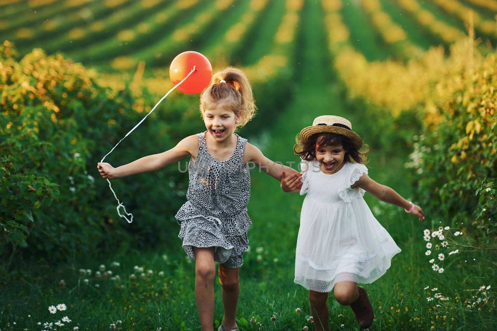 Two little girls with red balloon running together on the field at summer daytime.