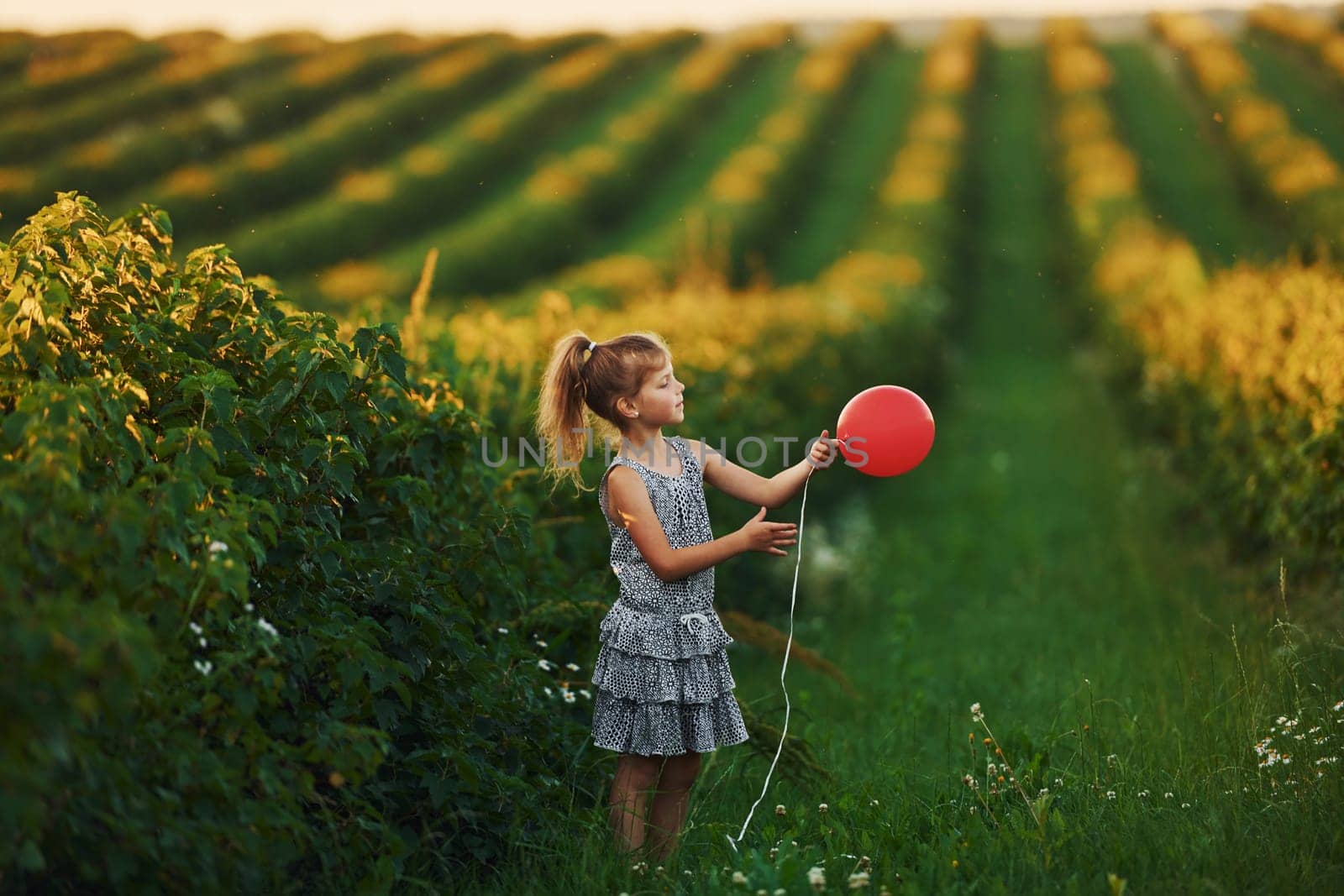 Positive little girl with red balloon in hands have fun on the field at summer day time.