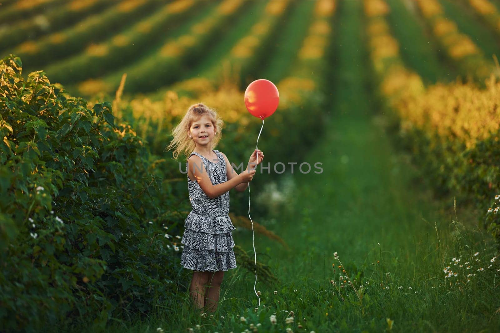 Positive little girl with red balloon in hands have fun on the field at summer day time by Standret