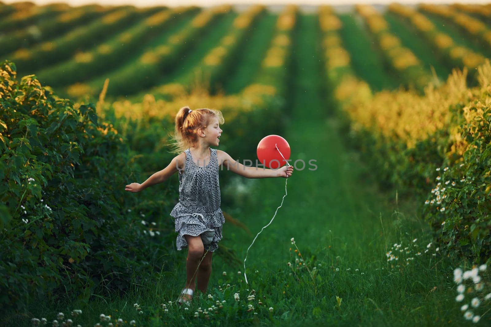 Positive little girl with red balloon in hands have fun on the field at summer day time.