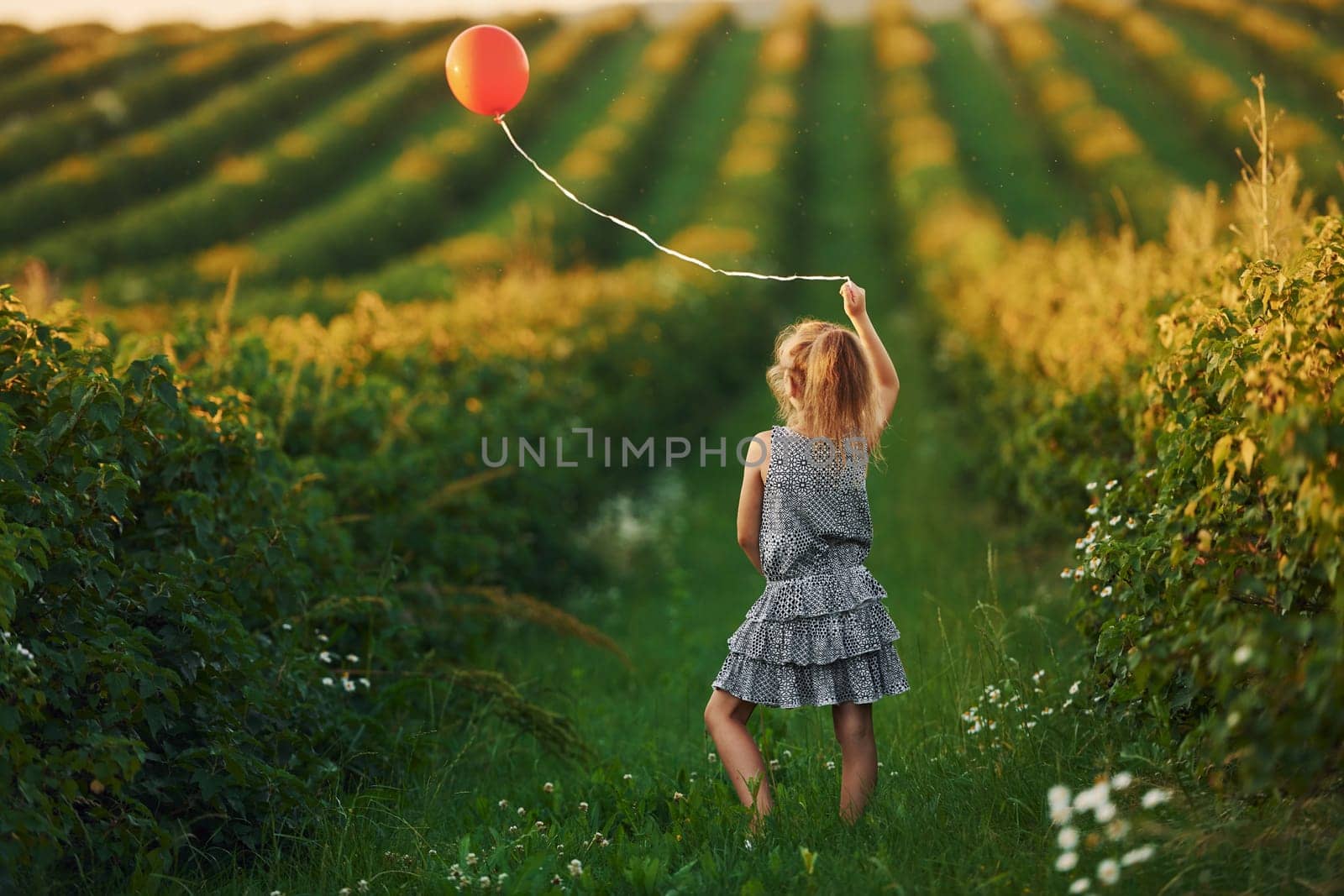 Positive little girl with red balloon in hands have fun on the field at summer day time.