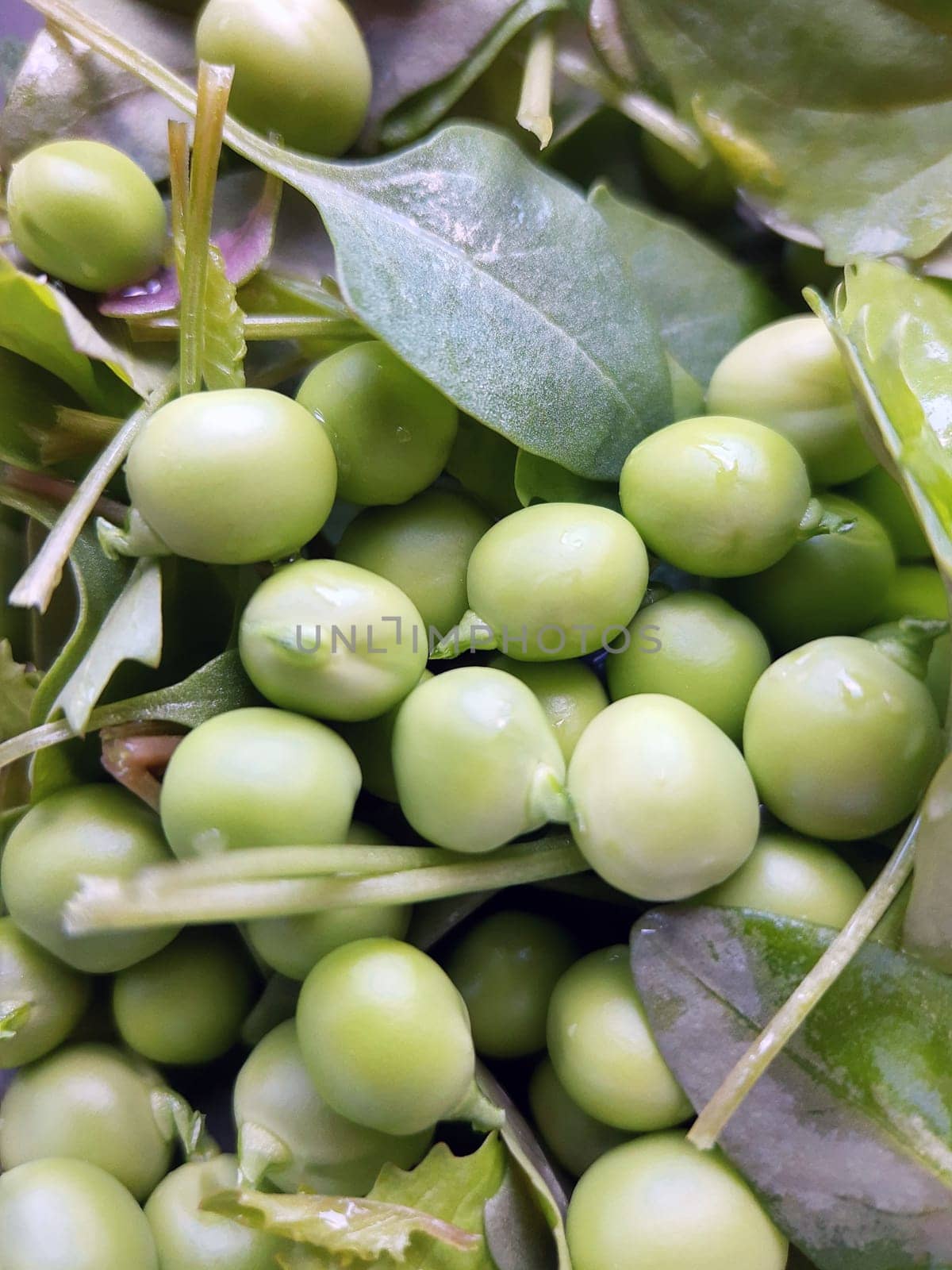 Young green peas with salad on a plate close-up.