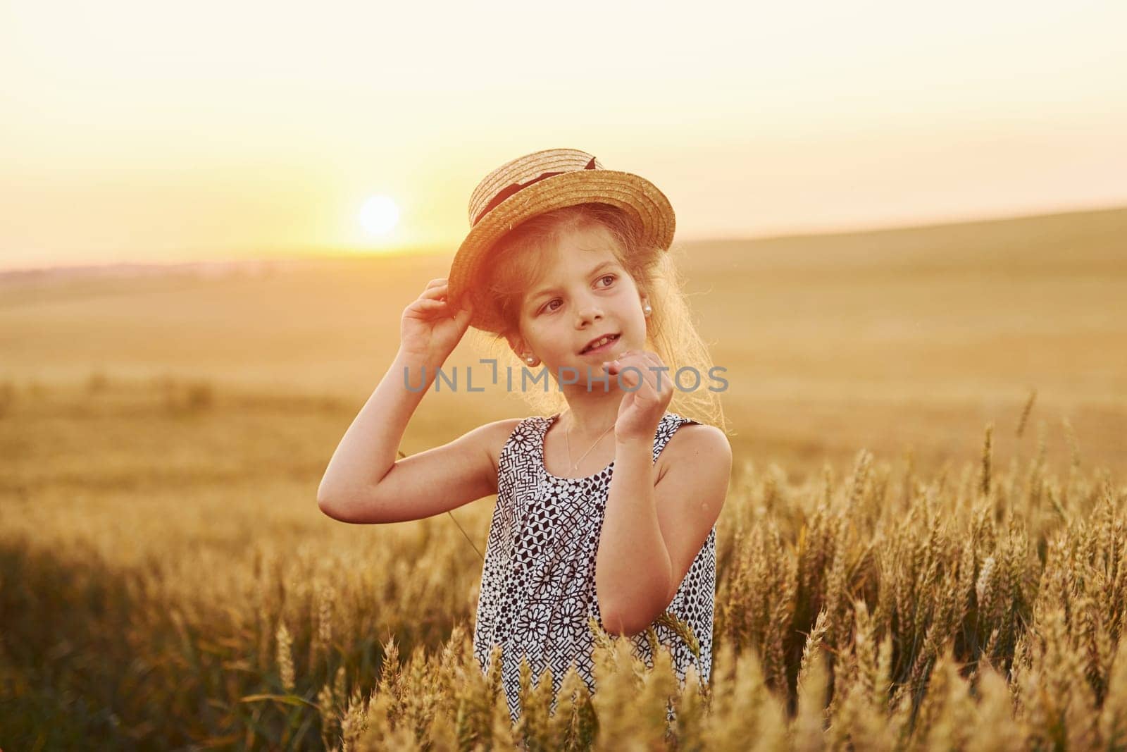 Little girl standing on the agricultural field at evening time. Conception of summer free time by Standret