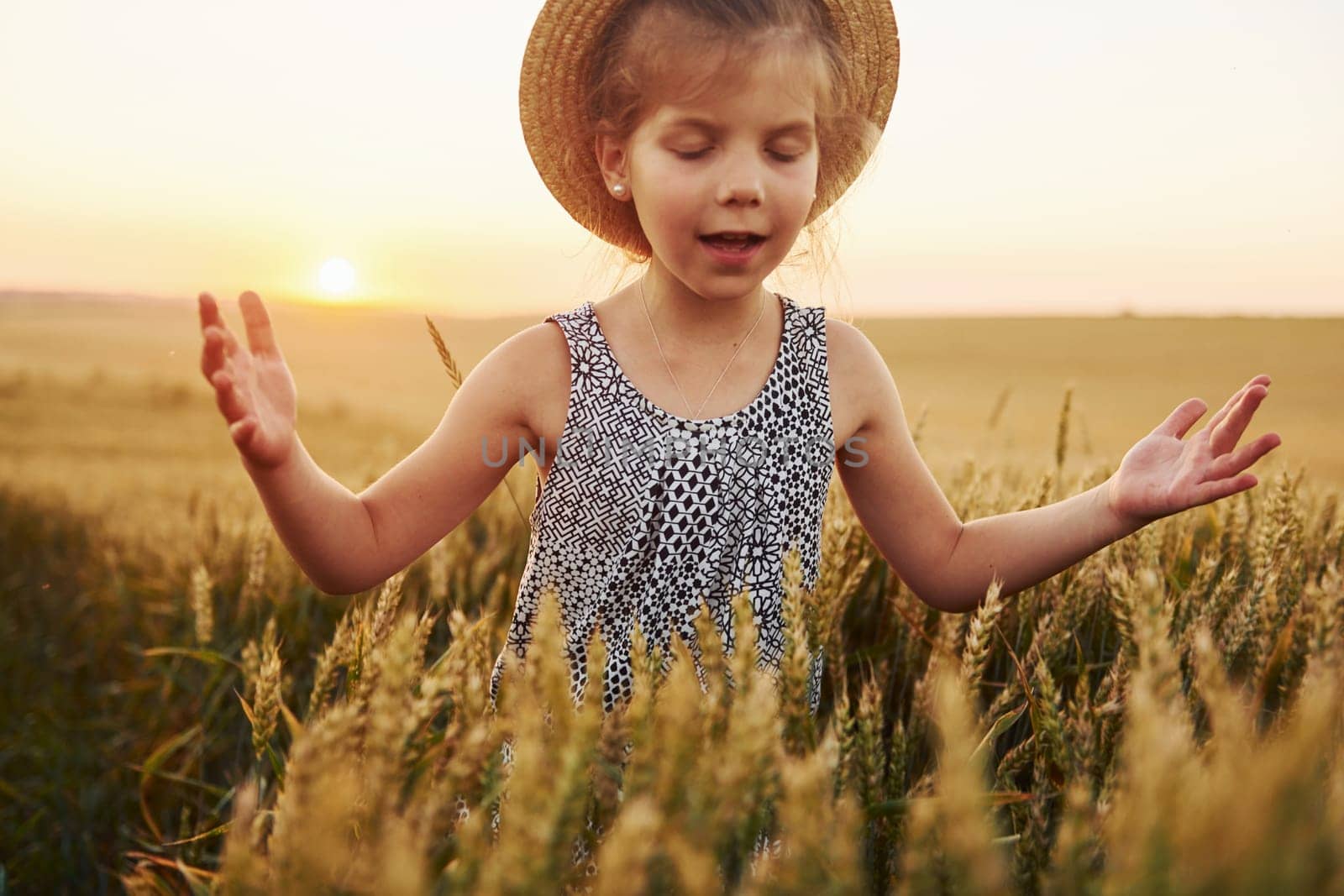 Little girl standing on the agricultural field at evening time. Conception of summer free time by Standret