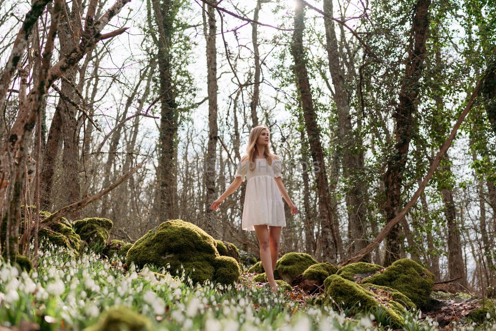 Snowdrops galanthus blonde. A girl in a white dress stands on a meadow with snowdrops in a spring forest.