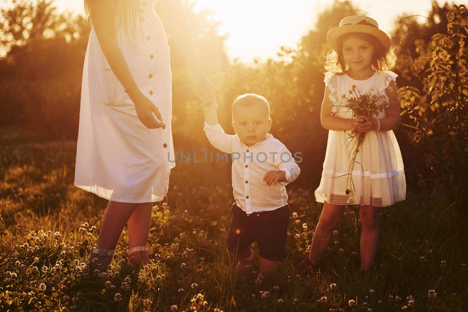 Cheerful family of mother, little son and daughter spending free time on the field at sunny day time of summer by Standret