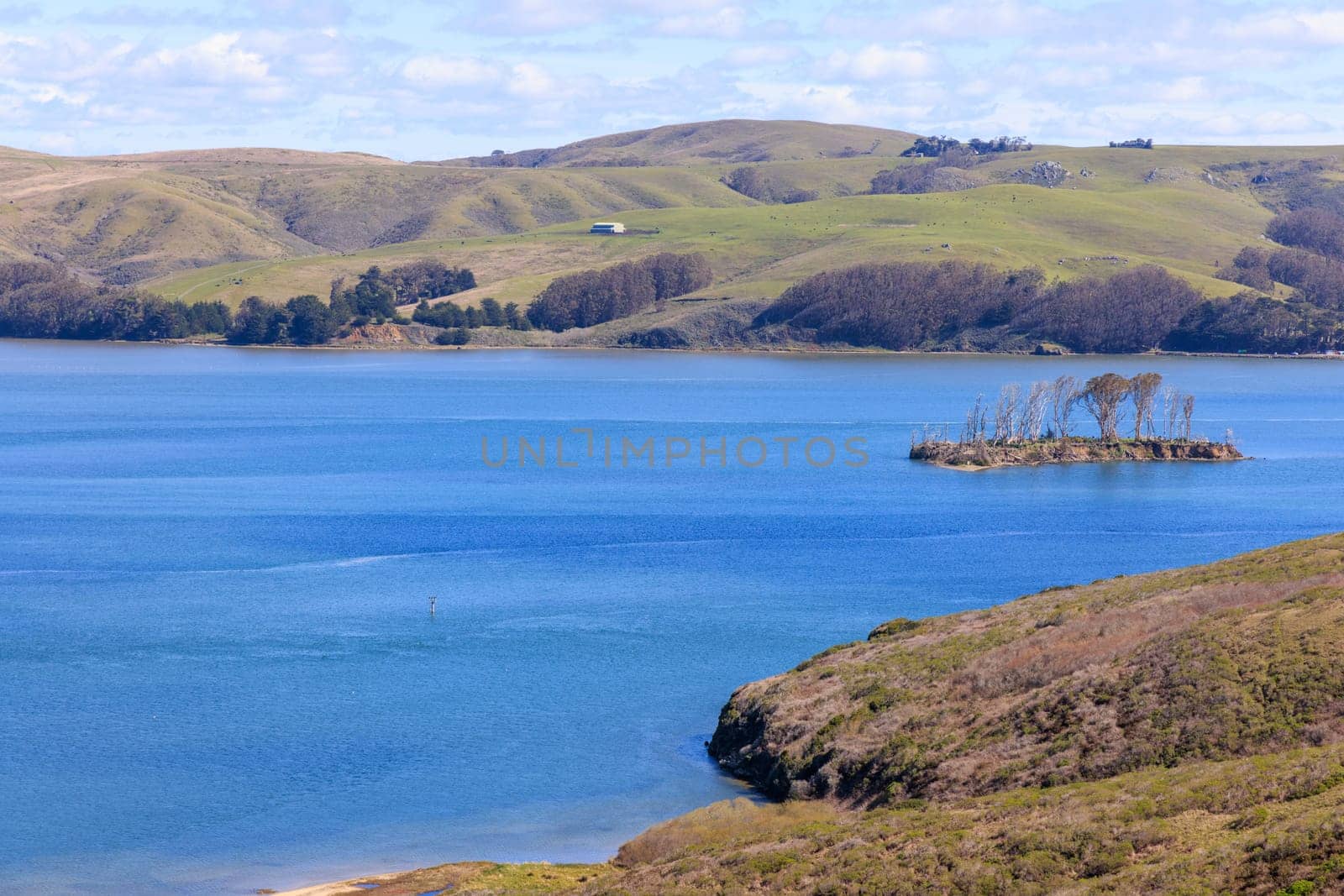 Small island in blue waters and rolling green hills on California coast by Osaze