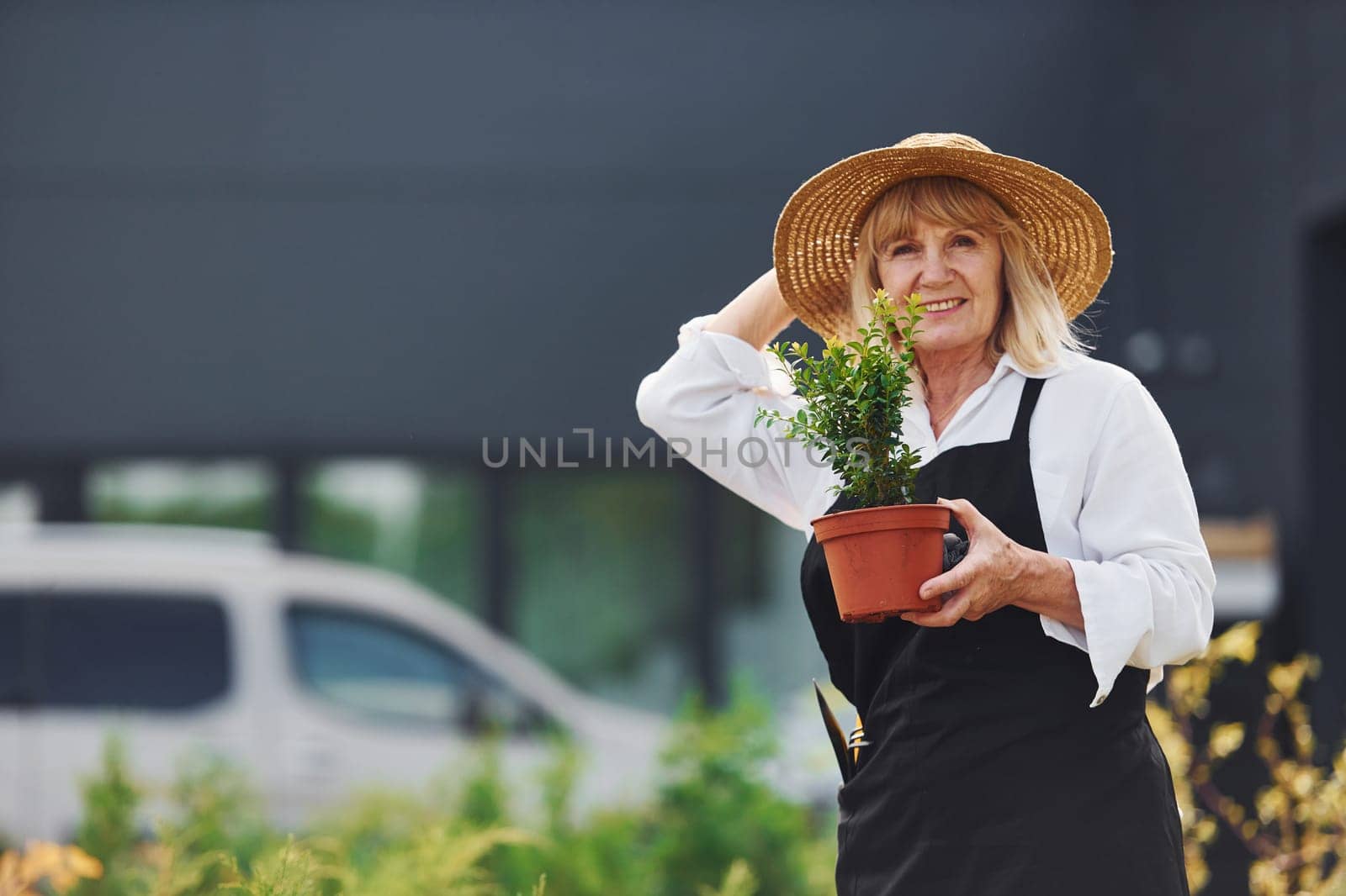Holding pot in hands. Senior woman is in the mini garden at daytime. Building exterior behind by Standret