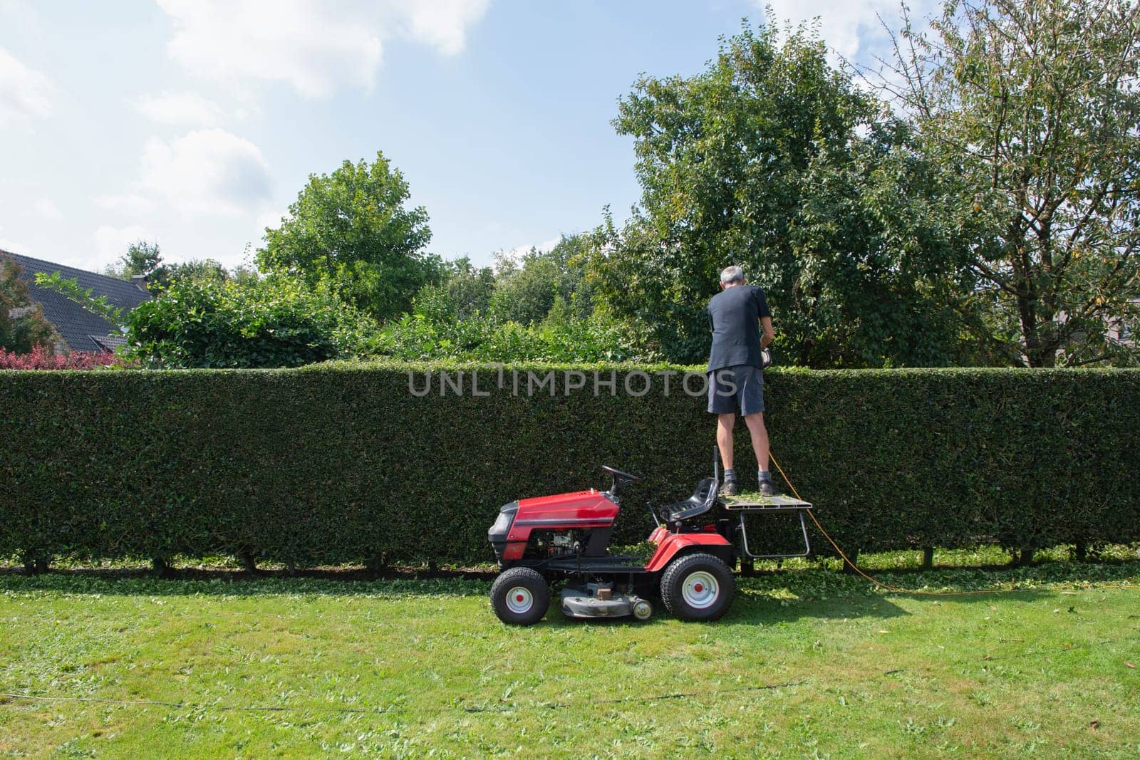 A gardener or worker uses stands to cut petrol hedge trimmers while standing on a tractor mower instead of a ladder, high quality photo. High quality photo