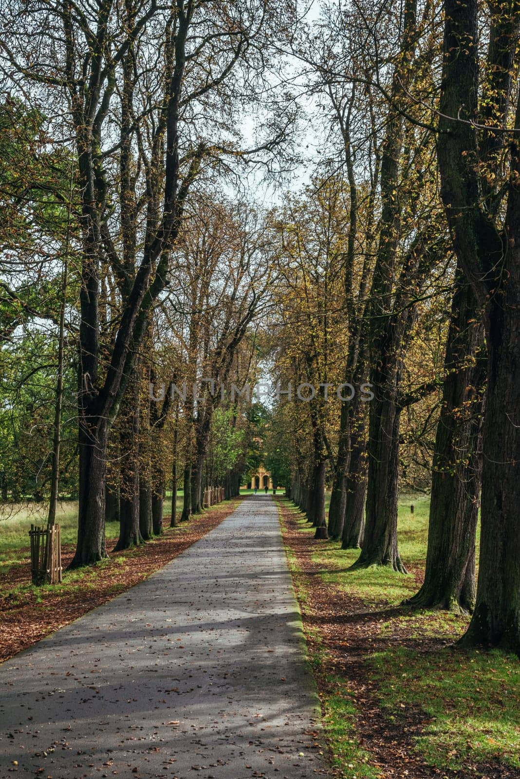 Calm fall season. Beautiful landscape with road in autumn forest. Maples and birch trees with green, yellow and orange leaves and footpath in the woodland in sunny day