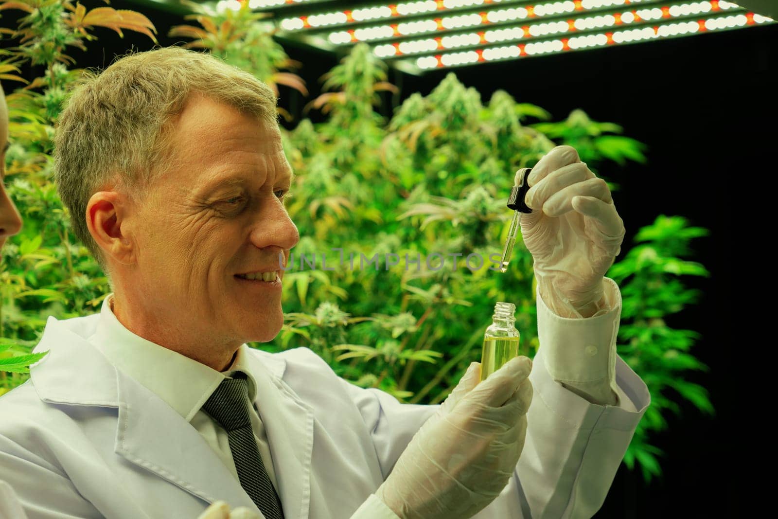 Male and female scientist looking their gratifying CBD oil product in dropper lid bottle. Grow facilities for cannabis plants in curative indoor farm.