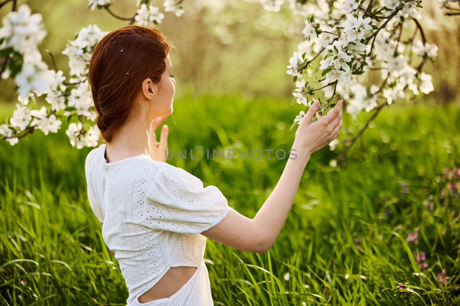 a woman in a light dress sits with her back to the camera near a flowering apple tree. High quality photo