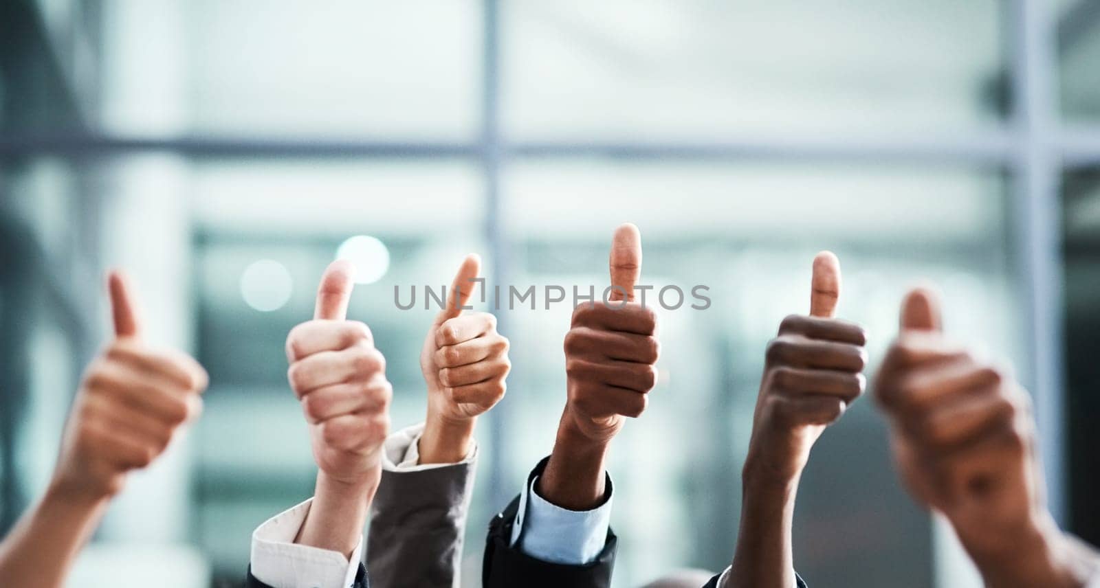 Youre doing such an amazing job. Closeup shot of a group of businesspeople showing thumbs up in an office