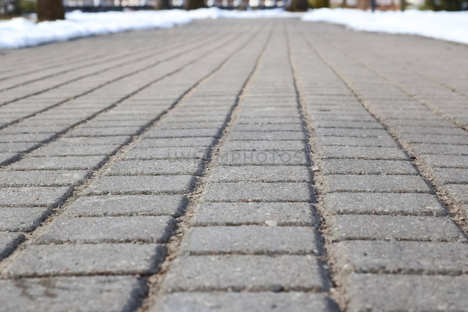 Concrete gray pavement slabs for floor or path close up, background or texture