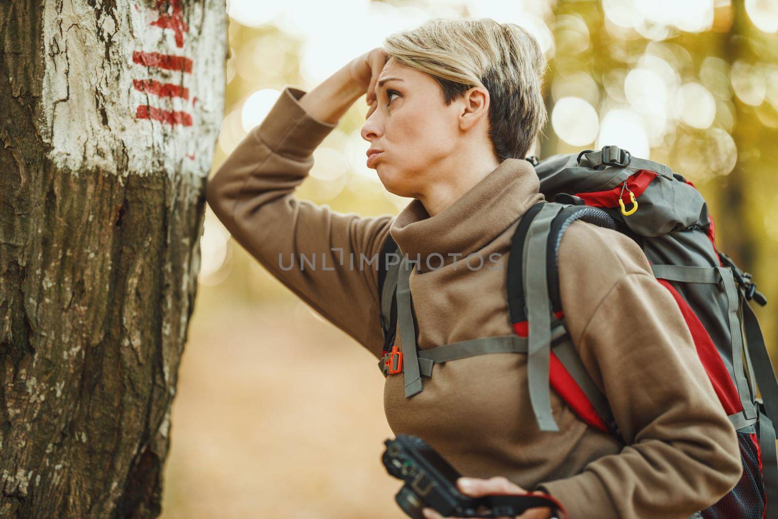Shot of a worried mature woman using hiking trail sign on a tree during walk through the forest in autumn.
