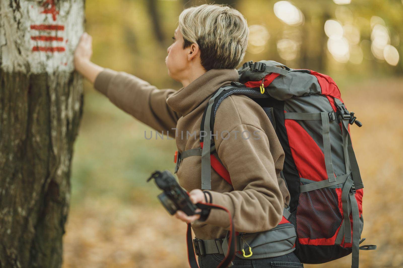 Shot of a worried mature woman using hiking trail sign on a tree during walk through the forest in autumn.