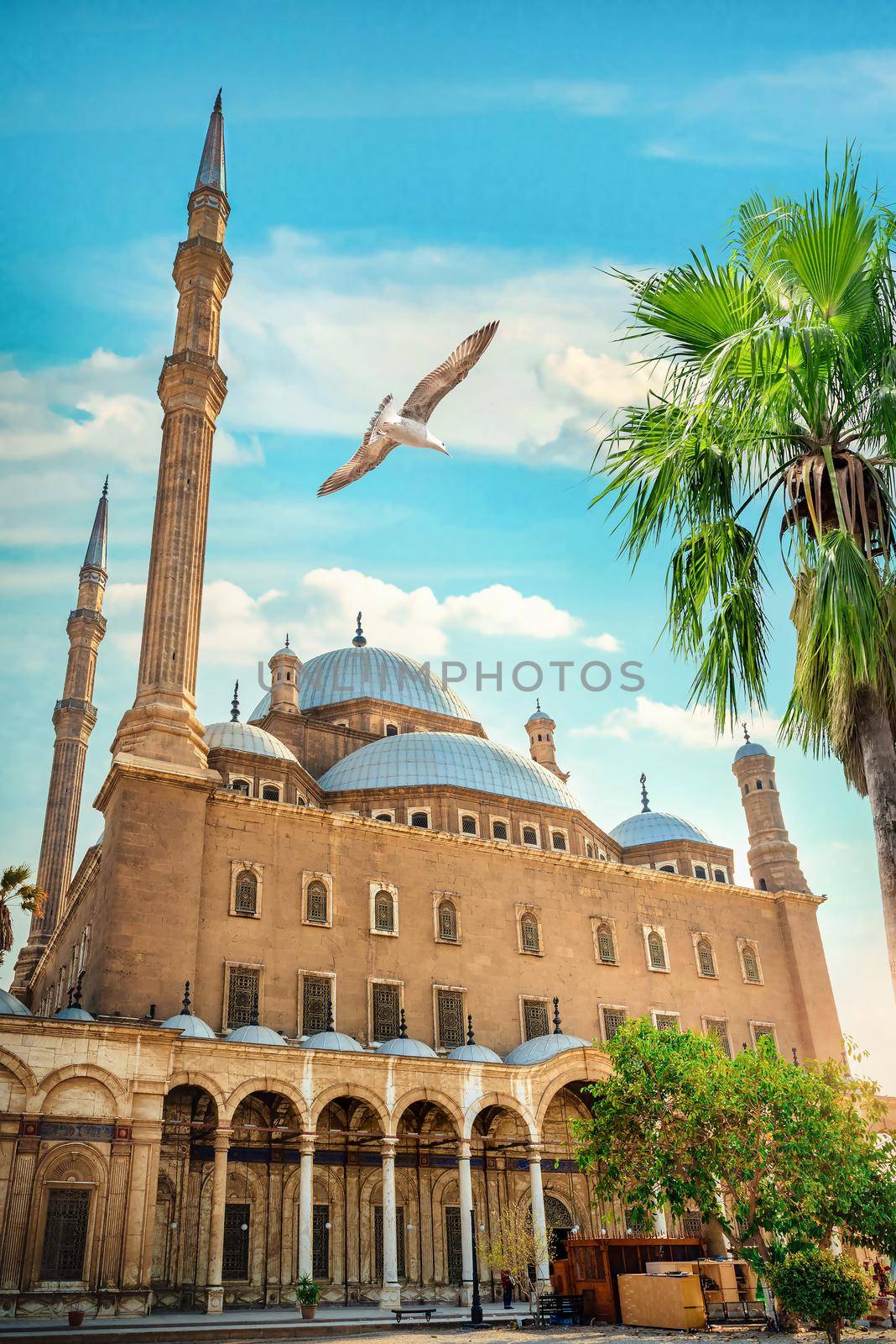 The great Mosque of Muhammad Ali Pasha in Cairo Egypt