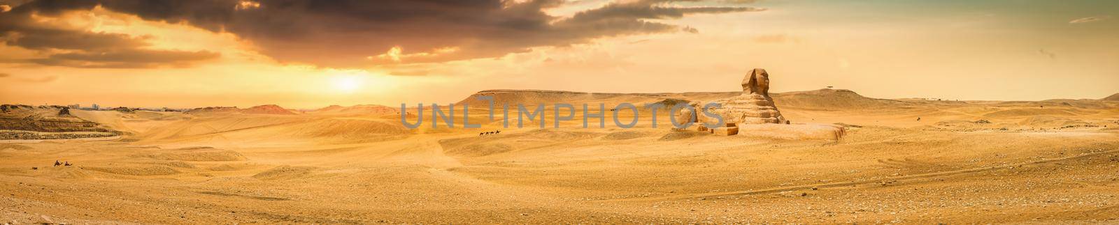 Great Sphinx in egyptian desert at foggy sunrise