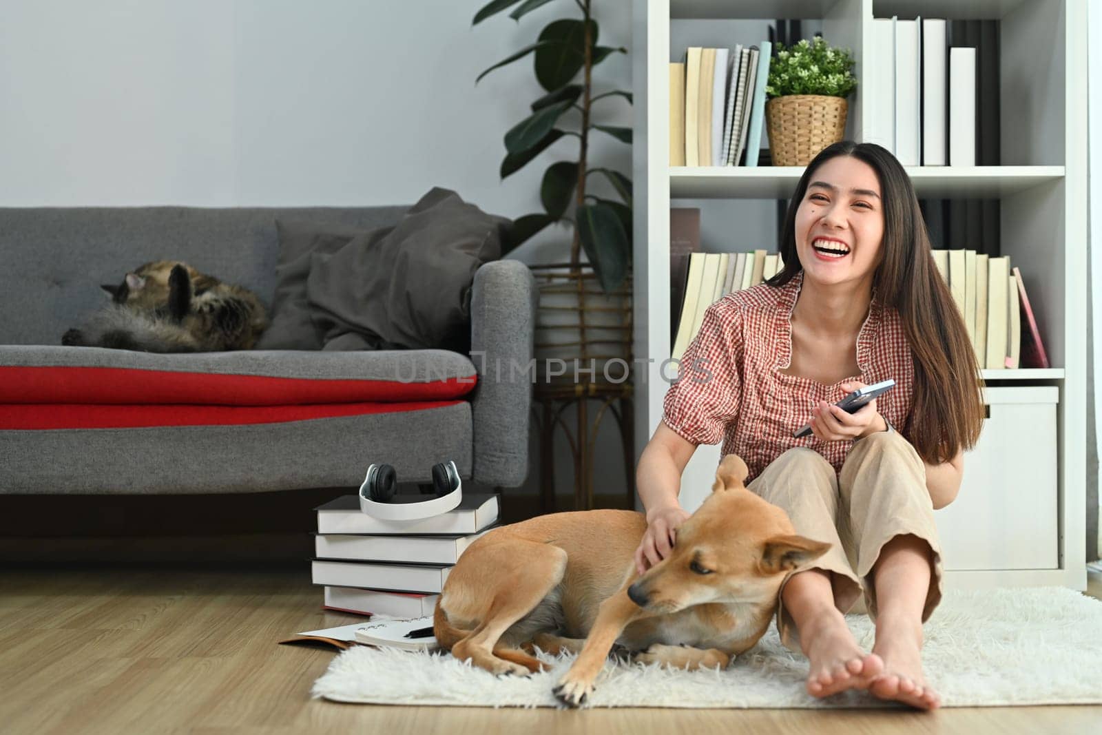 Happy young pretty woman in casual clothes spending time with lovely dog in bright living room by prathanchorruangsak